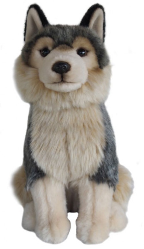 Wolf Image