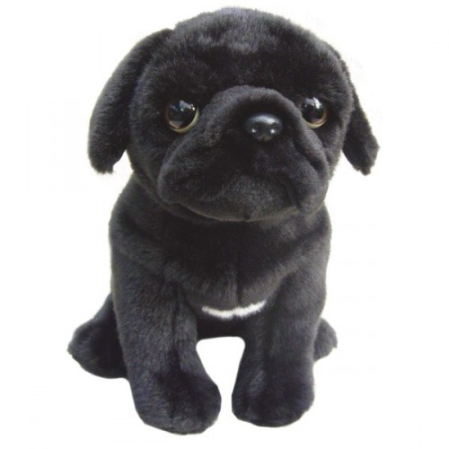 Pug Black Image