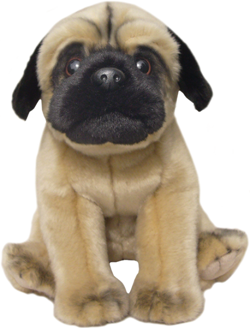 Pug Brown Image