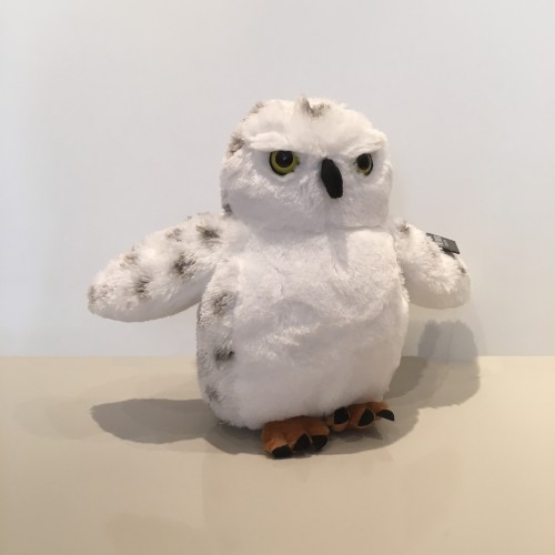 Snowy Owl Image
